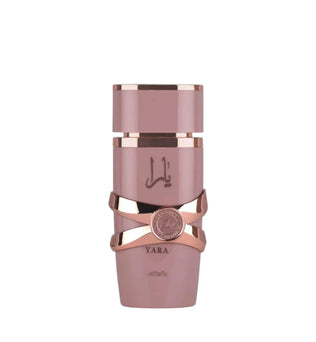 Yara Elixir by Lattafa 100ml Eau de Parfum strawberry smores blackcurrent orange blossom jasmine vanilla caramel amber musk