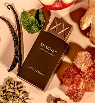 Shaghaf Amber Infusion 75ml Extrait De Parfum warm spicy amber apricot cardamom ginger vanilla apple cedar lily patchouli leather musk