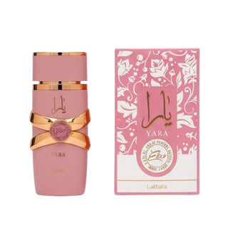 Yara Elixir by Lattafa 100ml Eau de Parfum strawberry smores blackcurrent orange blossom jasmine vanilla caramel amber musk